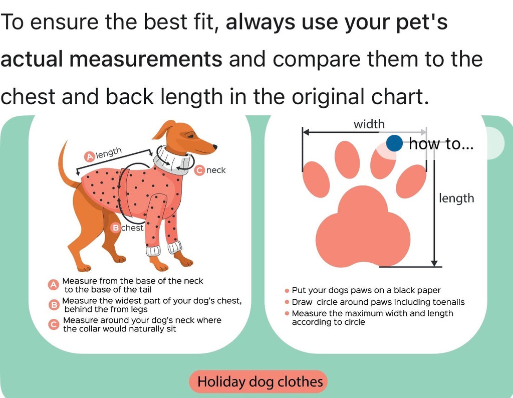 Matching Pet Suits