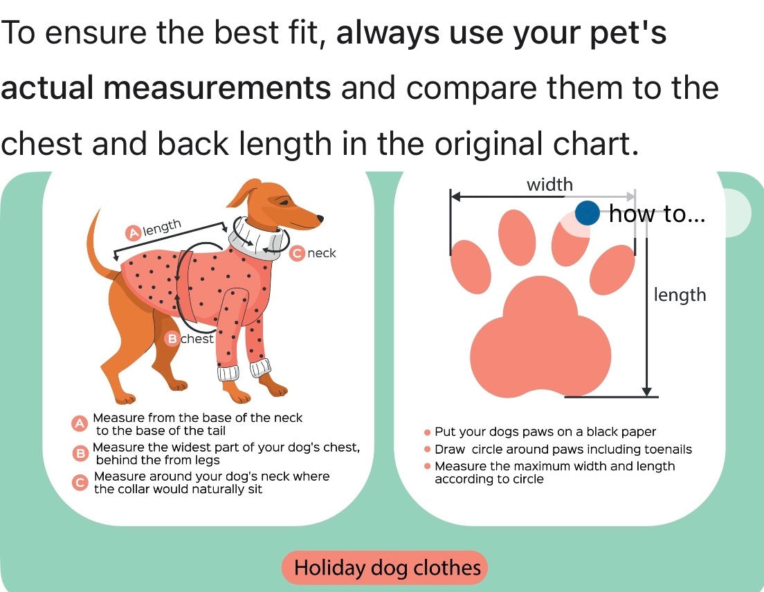 Matching Pet Suits